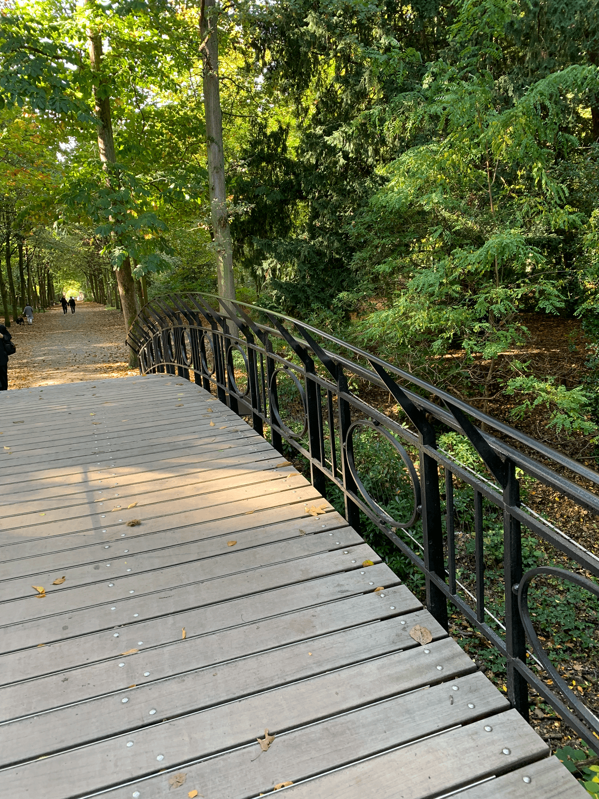 Pont courbé derrière le château, parc Den Brandt